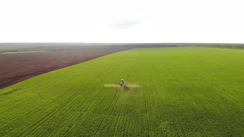 Aerial View of Farming Tractor Spraying on Field with Sprayer, Herbicides and Pesticides at Sunset