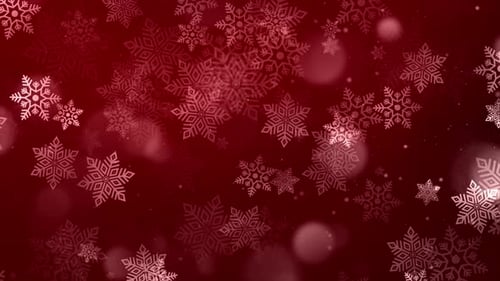 Moving Red glitter light particles defocused light snowflakes bokeh