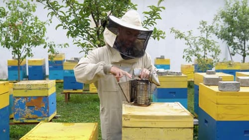 A Beekeeper Preparing Old Bee Smoker on the Apiary