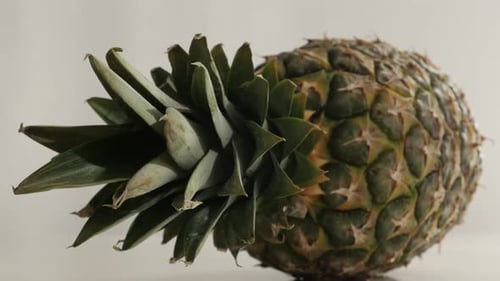 Fresh pineapple laid down 4K 2160p 30fps UltraHD tilting footage - Slow tilt on Ananas comosus ex