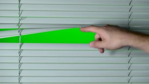Hand Open the Jalousie. Green Screen