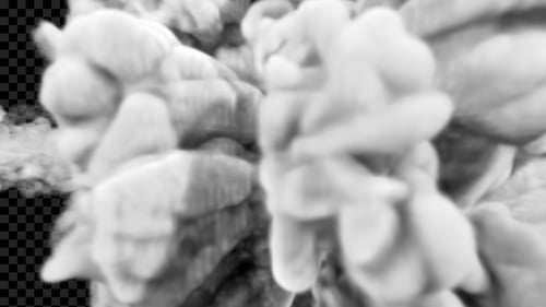 Fluid White Smoke Burst Transition Effect