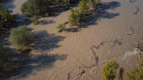 Spring River Flood in Forest