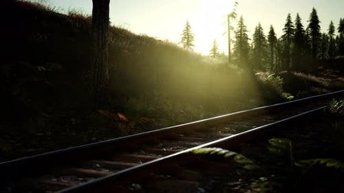 Cinematic Dolly Shot Along Forest Railway Tracks with Sunbeams
