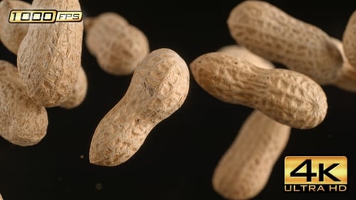 Falling Shelled Peanuts Against Black Background