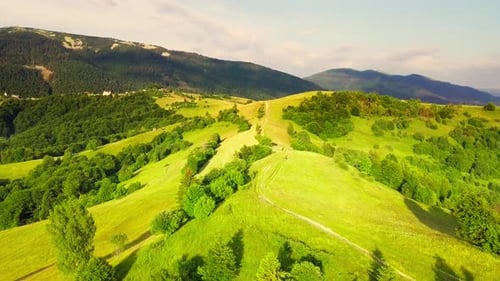 Aerial View of the Endless Lush Pastures of the Carpathian Expanses and Agricultural Land