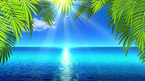 Summer Background