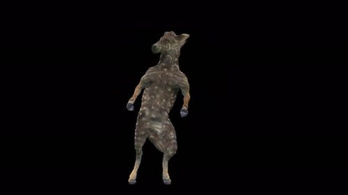 Realistic 3D Dancing Deer Animated Loop with Alpha Channel