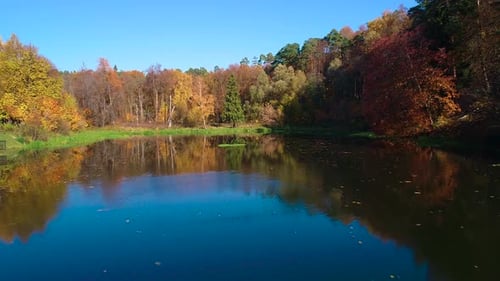Colorful Autumn Forest Wood on the Lake