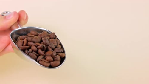 Coffee beans pouring from steel scoop on light background cafe 4K. Freshly roasted aromatic grains