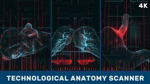 Holographic Medical Organ Scan Display