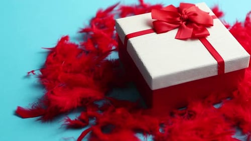 Festive Gift Box with Red Feathers