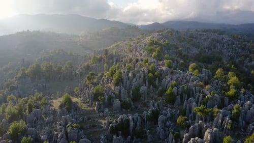 Beautiful Aerial View of Gray Rock Formations and Evergreen Trees at Mountains