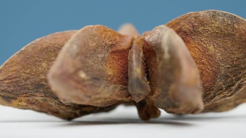 Close-up View of a Star Anise Spice