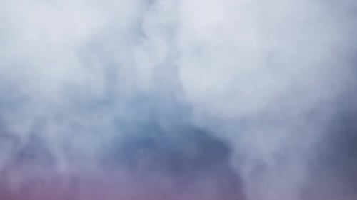 Steam fliegen