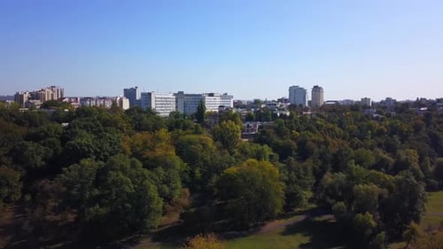Aerial View of City Park and Buildings