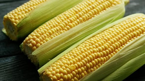 Fresh Corn on the Cob Close Up