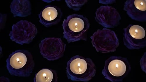 Roses and Candles 20