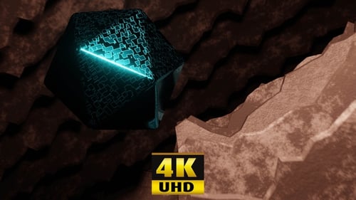 Fly Fly 4K
