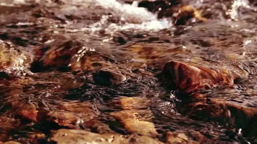 Dolly Slider Aufnahme des Spritzwassers in einem Gebirgsfluss in der Nähe von Wald. Nasse Felsen und Sonnenstrahlen