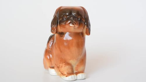 Dog 21
