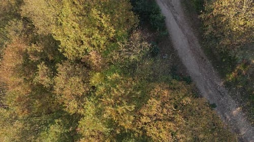 Herbstlicher Wanderweg