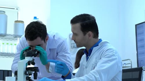 Scientists Collaborate in a Brightly Lit Laboratory Setting