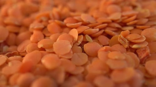 Macro View of Raw Orange Lentils