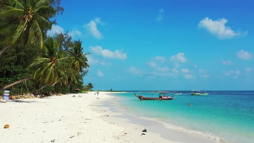 Paradise exotic beach with palm trees hanging over white sand washed by turquoise lagoon full of anc