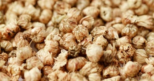Close Up of Dried Chrysanthemum Flowers For Herbal Tea