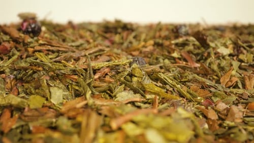 Scattered Dry Leaves of Chinese Green Tea