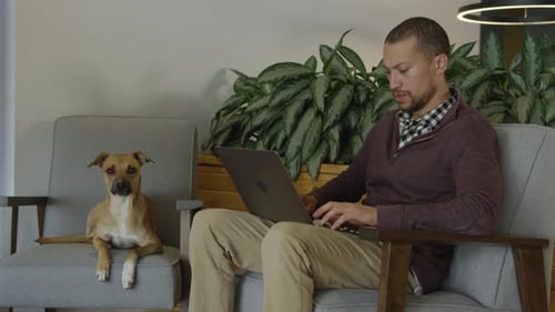 Man Uses Laptop with Dog in Modern Apartment
