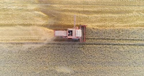 Combine Harvester Working in Golden Wheat Field