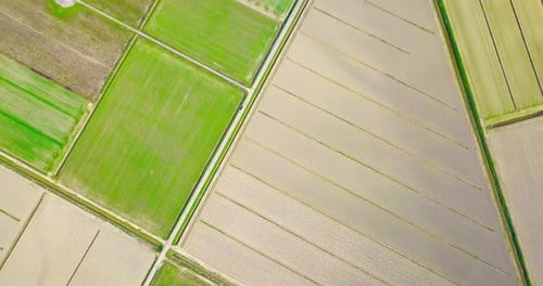 Geometric Farmland Pattern Aerial View