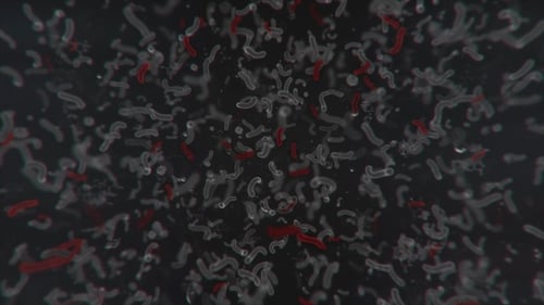 Microscopic Organisms Flowing Animation for Science and Medical Research