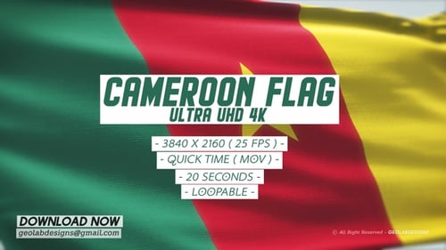 Realistic Cameroon Flag Waving Animation