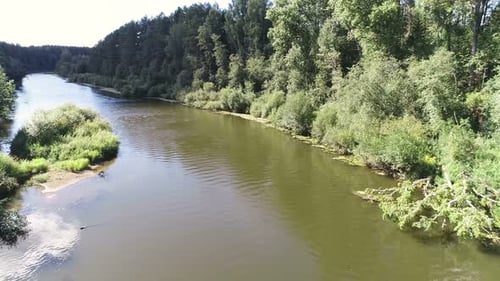 Aerial Beautiful View of the River Among the Forest in Sunny Summer Day