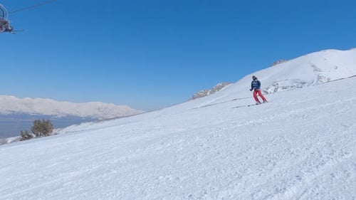 Skier Riding Freeride on Ski From Snowy Slope in Winter Mountain Pine Forest
