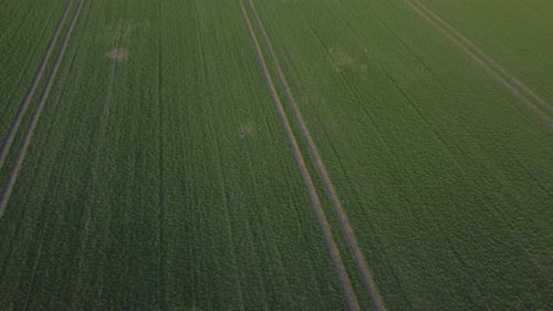 Drone Footage of Spring Field