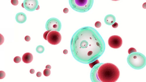 Animated Microscopic Red and Green Cells Floating