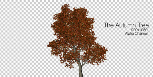 The Autumn Tree