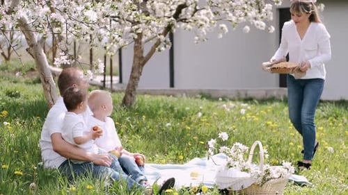 Family Picnic Under Blooming Tree on Sunny Day