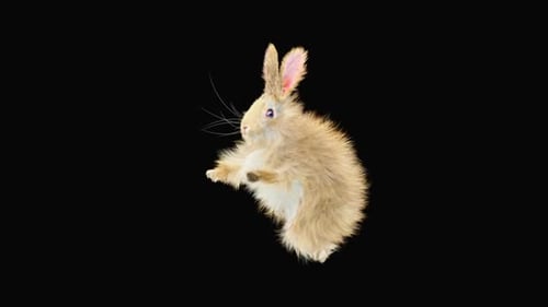 Cute Fluffy Animated Rabbit Waving and Dancing