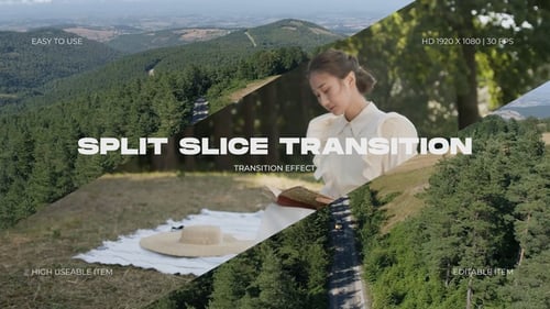 Split Slice Transition Effect