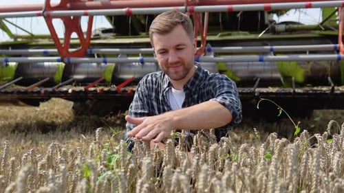 Happy Young Farmer Sits on Wheat Field with a Combine Harvester in Background