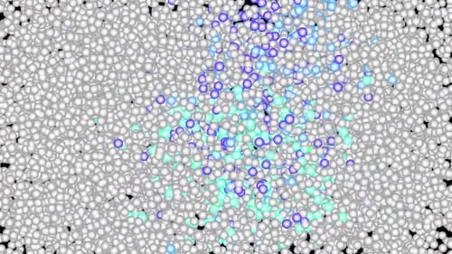 Abstract Fluid Sphere Particle Animation
