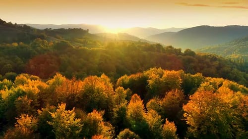 Aerial View of Mountain Forest in Autumn at Sunrise