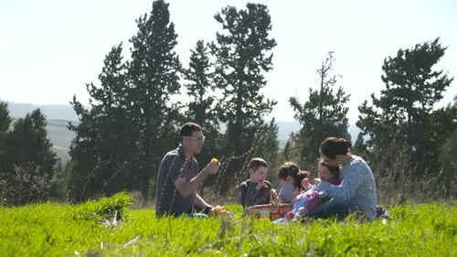 A family with 4 children having a picnic outdoors on a green hill in the sun