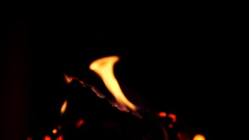 Fire Flames in Campfire at Night. Slow Motion of Burning Wood and Smoke in the Grill. Cooking a