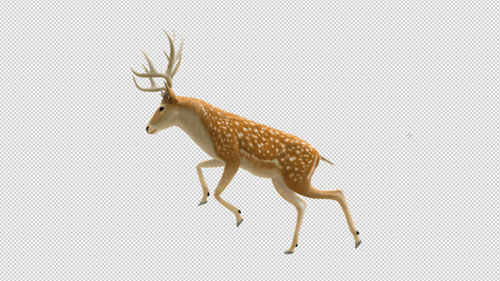 Deer Run